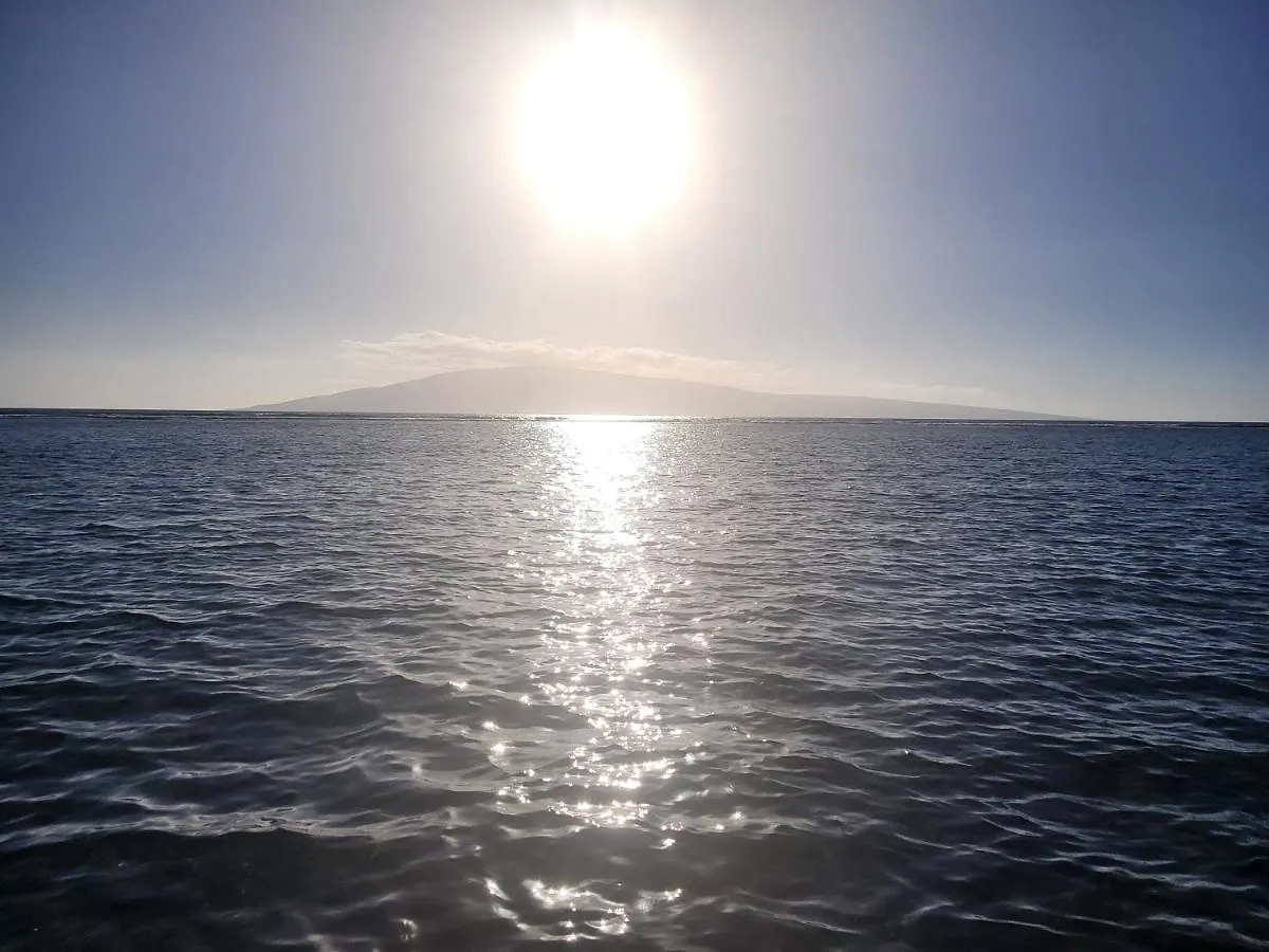 Homestay The Beach Hale Critter Refuge Lahaina