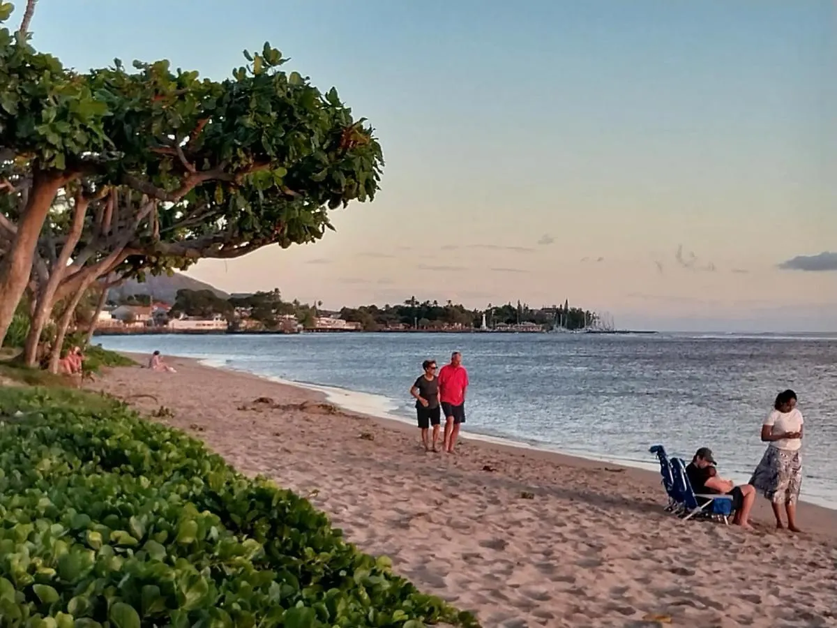 The Beach Hale Critter Refuge Lahaina United States